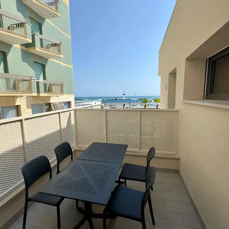 Palms * Pesaro