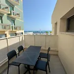 Palms * Pesaro