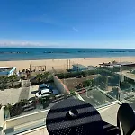 Palms * Pesaro