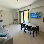 Palms