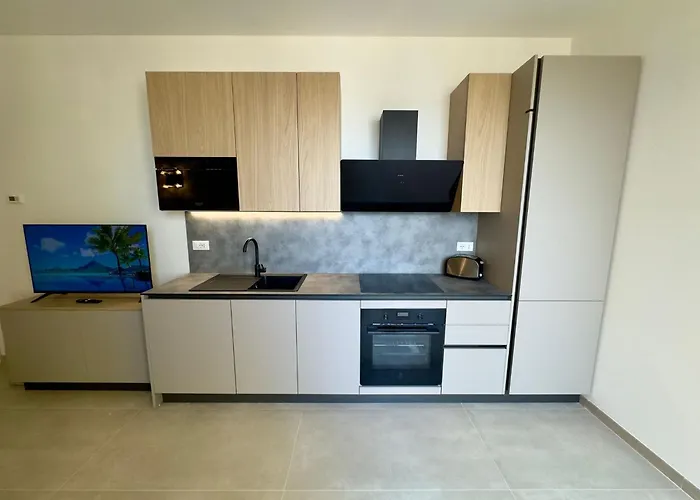 Palms * Пезаро